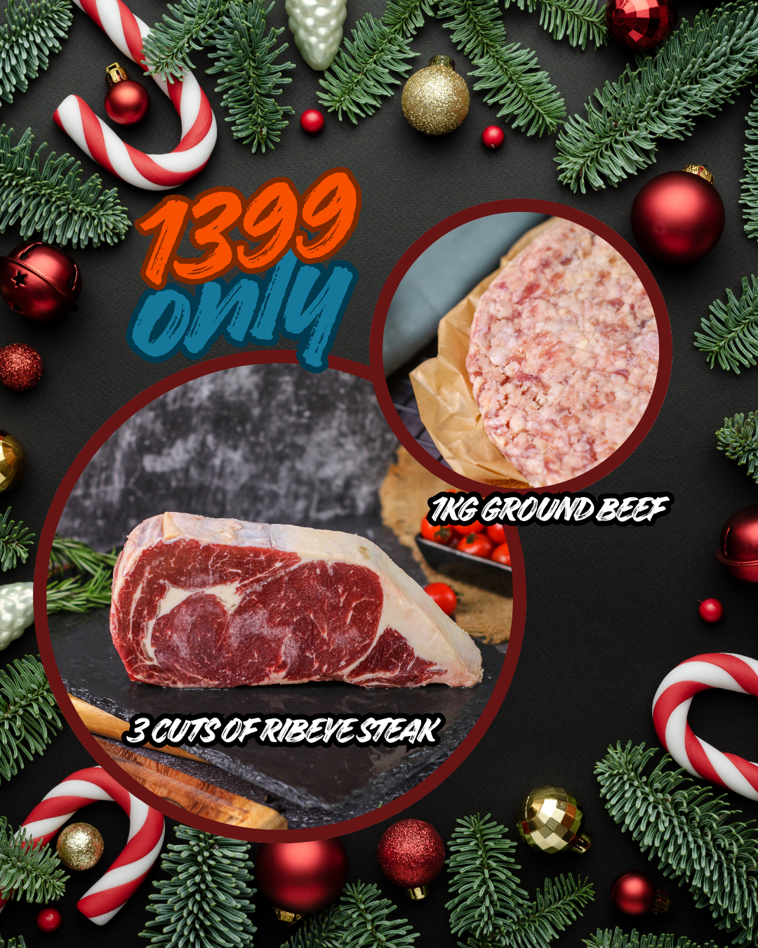 Holiday Promo 1399