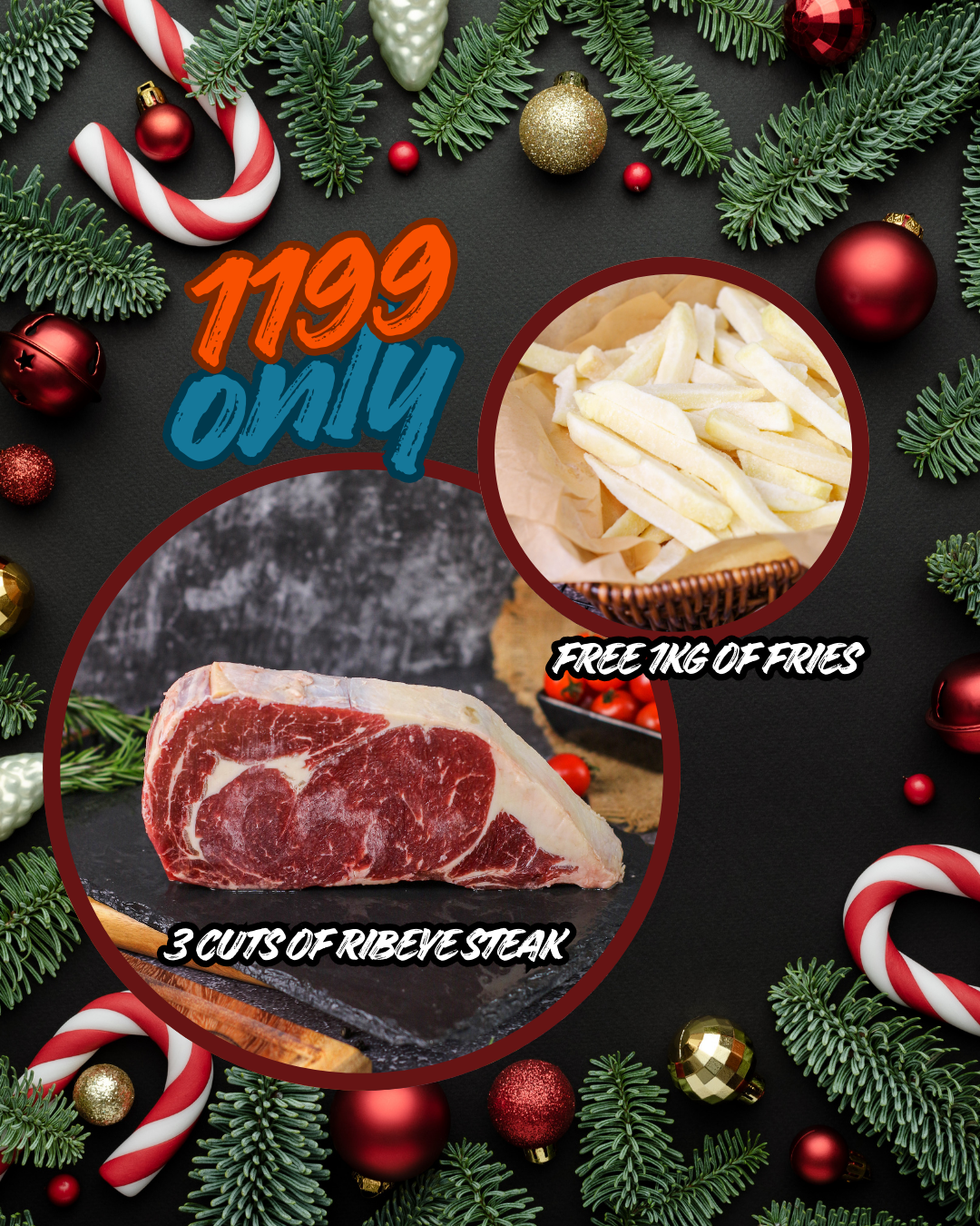 Holiday Promo 1199